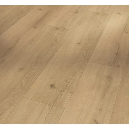 Infinity natur-tölgy-SPC vinyl-Basic 5.3