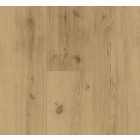 Infinity natur-tölgy-SPC vinyl-Basic 5.3