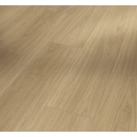 Oxford natur-tölgy-SPC vinyl-Basic 5.3